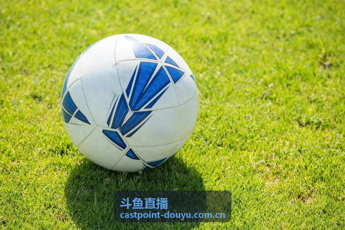 斗鱼直播互动竞猜产品